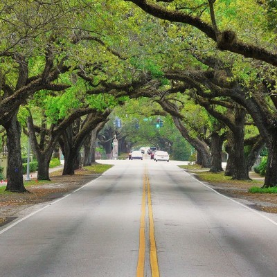 Digital photo taken by Marc Averette. Coral Way in Coral Gables, Florida, United States.