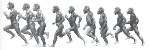 Ape to Man running