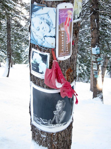 You can ski and fantasize that you’re JFK. And that Marilyn is a tree. A tree with a pill habit who knows too much.