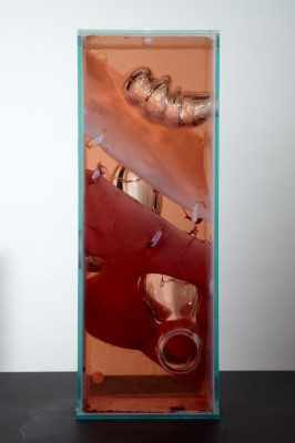 Jennifer Sirey's Three Holes, glass, bacteria, water, vinegar, monofilament, 2011. 