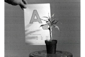 John Baldessari,  Teaching a Plant the Alphabet, 1972.
