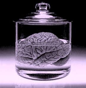 brain-in-a-vat
